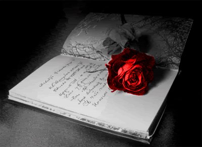 Rose-for-your-words-poetry-33064141-400-291