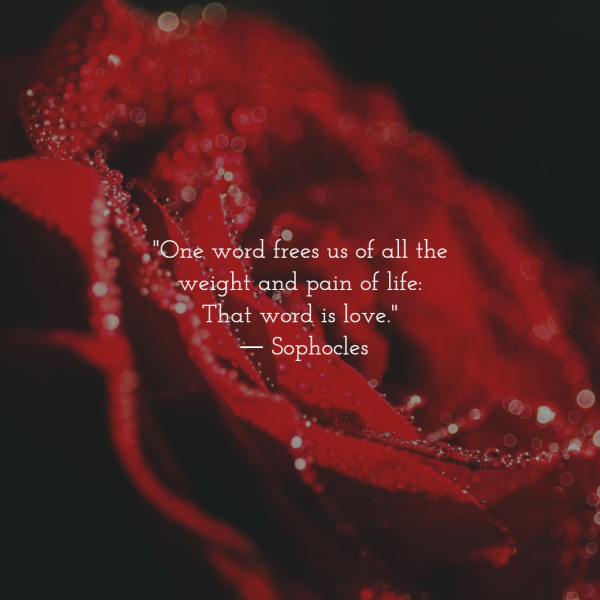 sophocles