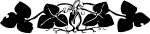 johnny-automatic-floral-border-300px