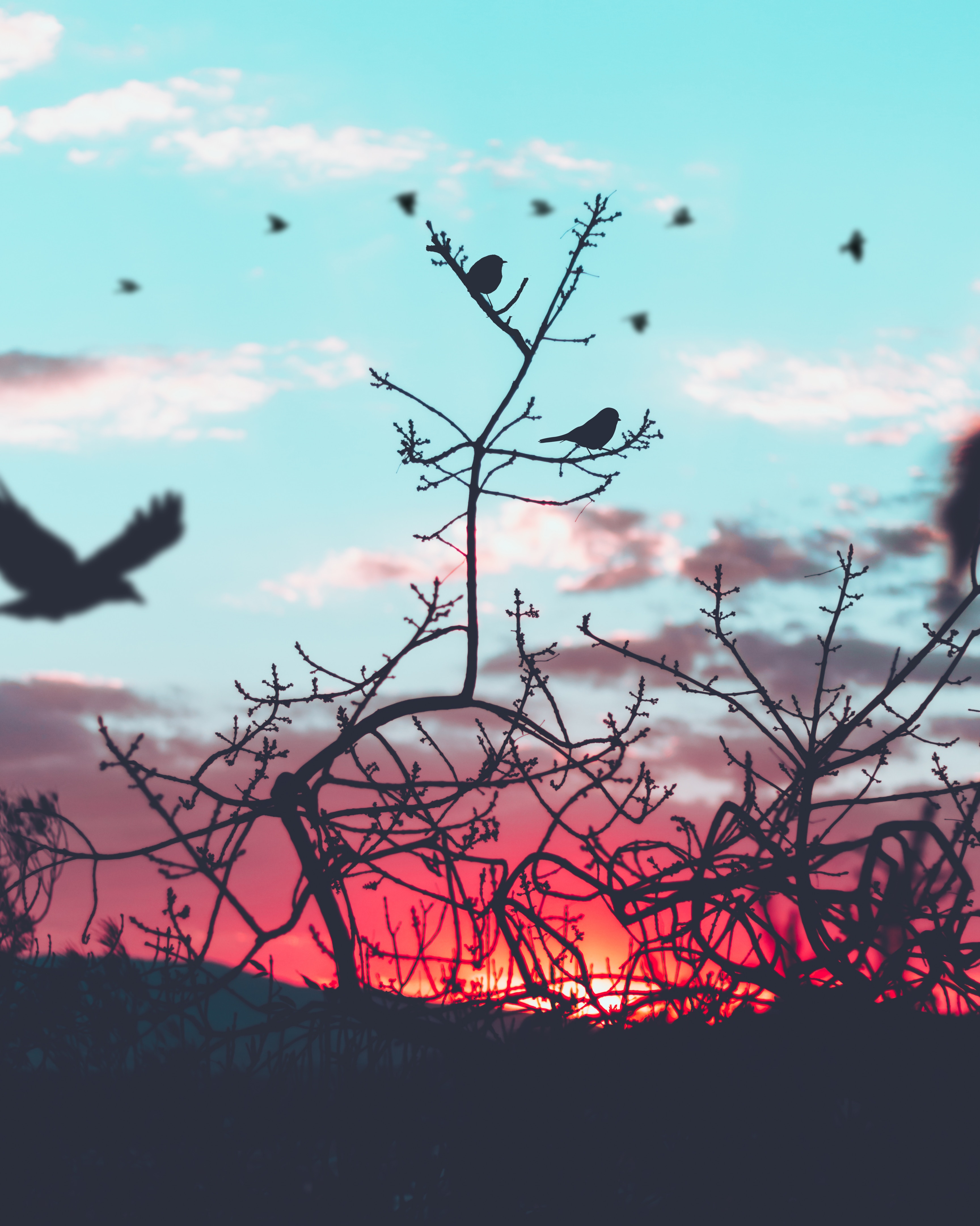 diego-ph-226527-unsplash (1)