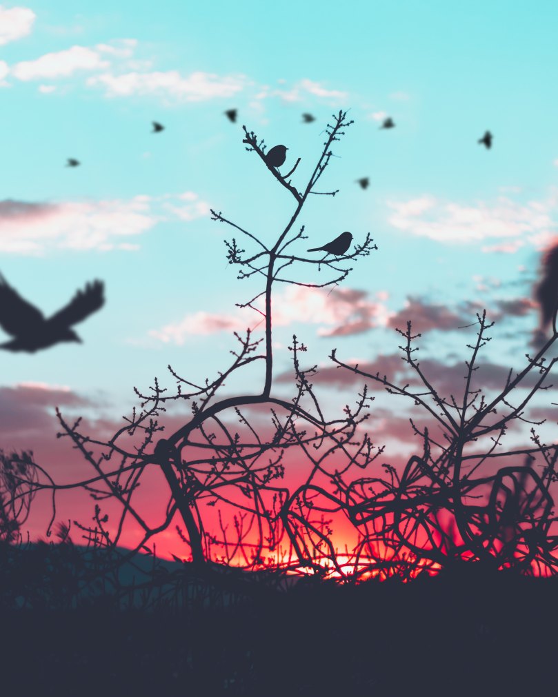 diego-ph-226527-unsplash (1)