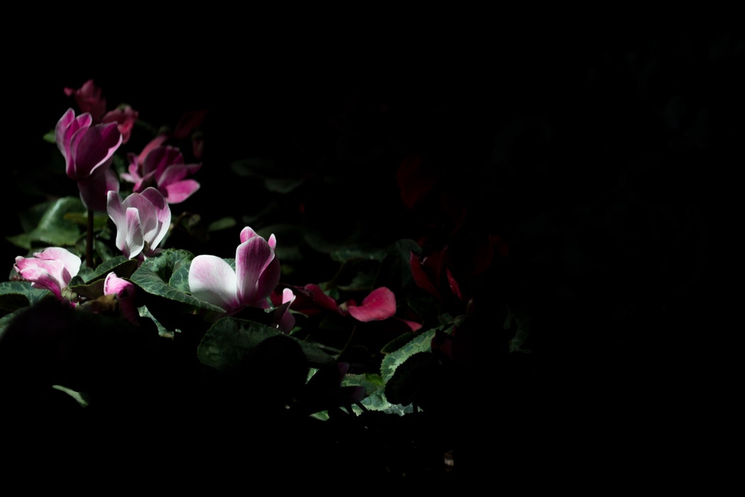 photo-1496392055375-dea3009ca234