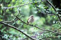 This image has an empty alt attribute; its file name is bardia-hashemirad-hv96opiv_2g-unsplash-e1589281161343.jpg