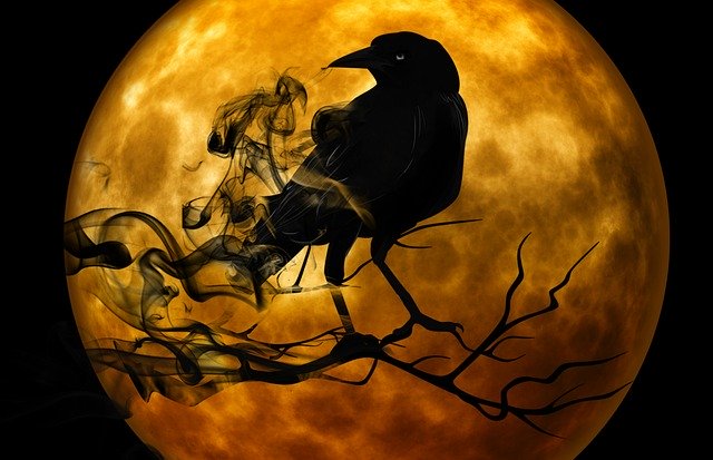 This image has an empty alt attribute; its file name is raven-988218_640-1.jpg